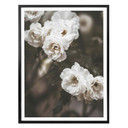 Plakat Annie - Louise Bugnet