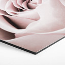 Hexagone - Alu-Dibond 1X Studio - Rose Noble