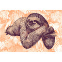 Architects Paper Papier peint photo Atelier 47 Sloth Design animal