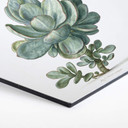 Hexagon Dibond Saftleven - Vetplant
