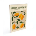 Plakat drewniany Boho drzewko cytrynowe - Citrus Limonum - Tunaboylu