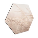 Hexagon Dibond Morning Light