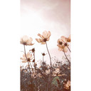 Fototapet Blomstereng - 144x260 cm