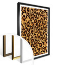 Plakat Leopard - Próbki