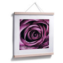 Plakat Violet Rose