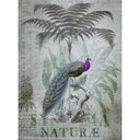 Livingwalls papier peint photo ARTist Peacock Jungle avec Jungle et paons vert, violet, jaune