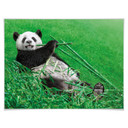 Plakat Ben Heine - Happy Panda