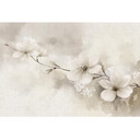 Guido Maria Kretschmer Fototapet First Light- Art Edition 2 taupe