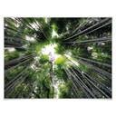 Plakat Hugonnard - Las w Japonii