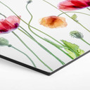 Hexagon Dibond Disher - Colourful Poppies