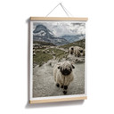 Plakat Landolt - Wycieczka w góry
