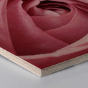 Hexagon hout - Pink Roses