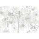 Architects Paper Papier peint photo Atelier 47 Dragon Fly