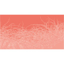 Architects Paper Papier peint photo Atelier 47 Thorn Style rose, rouge