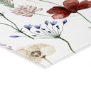 Akrylbillede Farverige vilde blomster - UN Designs
