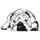 Wallsticker Engelsk Bulldog