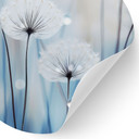 Naklejka na ścianę dew pearls on dandelions - Treechild - Round