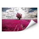 Zelfklevende Poster Lonely Tree