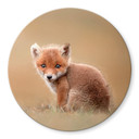 Glasschilderij Rond - van Duijn - Baby Fox