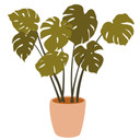 Wallsticker Monstera-plante i en urtepotte