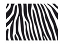 Dekoracja okienna zebra Próbki 1