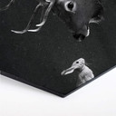 Hexagone -Alu Dibond Graves - Cerf et lapin