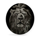 Tableau en Alu-Dibond Lion - Rond