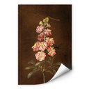 Wallprint W - Dietzsch - Eine rosa Garten Levkkoje