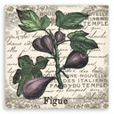 Canvasbillede, vintage figen
