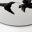 Alu-Dibond Rund - Ireland - Hummingbird – print på aluminium (Alu-Dibond)