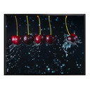 Poster Belenko - Newtons Cradle