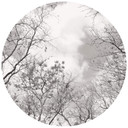 Drzewa na niebie - okrągła Fototapeta - tapeta flizelinowa/tapeta flizelinowa samoprzylepna