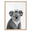 Plakat Koala z kawą - Korenkova