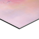 Fototapet Abstrakt farveeksplosion - Fedrau - Panorama – print på aluminium (Alu-Dibond)