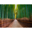 non-woven tapet BambooWalk fototapet Designwalls i grøn og brun 
