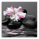 Canvasbillede, sten pink blomst Zen