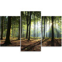 3 stykke lærred Print Skovtræer Solstråler