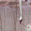 Natuur Fotobehang lotusbloemen met zwaan in het water in donkerroze - Ms Tiff