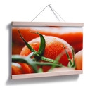 Poster - Fresh Tomato