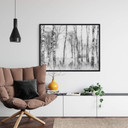 Plakat Talen - Czarno-biały las brzozowy