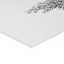 Akrylbillede Minimalistisk træ i et fredeligt landskab - Flour