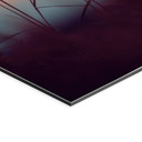 Billede Græsser i lyset af den glødende sol - Treechild – print på aluminium (Alu-Dibond)