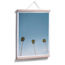 Plakat Palms 02