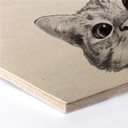 Hexagon berkenfineer - Graves - Sneaky Cat