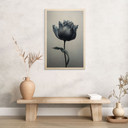 Plakat drewniany aksamitny tulipan w kolorze czarnym - Paksoylu