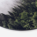 Wandcirkel Foggy Forest