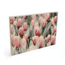 Plakat drewniany Annie - Wiosenne tulipany