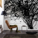 Fotobehang Vliesbehang - Curls