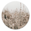 Tableau sur alu-Dibond Annie - Herbes - Rond