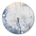 Glasbillede - Sparkling Dandelions - Treechild - Rund